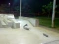 fernando Burnquist 2008  _ manobra Fenomenall