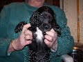 Millie\ Millie\