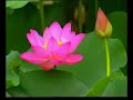 ?????? Travel China Tours Henan Kaifeng (2) ?????? Travel China Tours Henan Kaifeng (2)