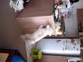 Kenki Kenki