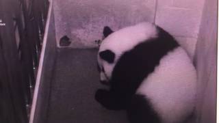 Smithsonian National Zoo