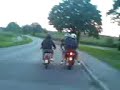 Rollerfahrer filmt und fährt gegen Baum Rollerfahrer filmt und fährt gegen Baum