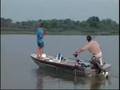 Lusca fisga Pirarucu em Formoso do Araguaia