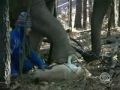 When Elephants Retire