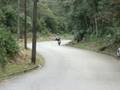 Parada da moto