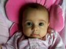 Noa no Carrinho