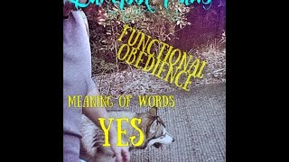 Functional Obedience - Yes