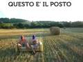 videos de Elettrozolla Spot | NERTO.it |