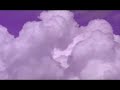 1200 Micrograms | 1001 Arabian Nights