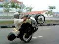 wheelly wili wylee