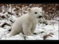 videos de Father and Daugther