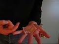 giochi di prestigio! Banconota 10euro si piega da sola!! giochi di prestigio! Banconota 10euro si piega da sola!!
