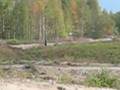 Nurmes 2006