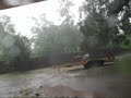 Me Driving on My Golf Cart in My Back Yard During Hurricane/
