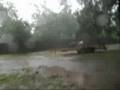 Me Driving on My Golf Cart in My Back Yard During Hurricane/