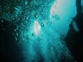 Cave Diving - Piccaninnie Ponds - Mt Gambier