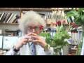 Chocolate and Roses - Periodic Table of Videos