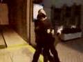 DIELEES FINAL 2008 ／ さよなら ダイリーズ 2008 （鼻から牛乳）