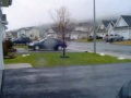newfoundland Jan4th