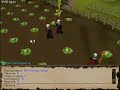 One Million cabbages One Million cabbages