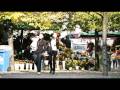 Flower Market, Wroclaw, Poland