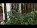 Fantasia.wmv