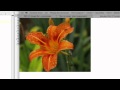 Blur Images with PHP