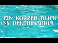 Define allwetterzoo münster / dolphins zoo
