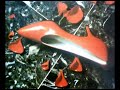 TOSHIKI KADOMATSU - Mermaid Princess