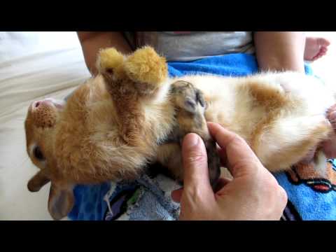 how to properly nurse a baby