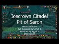 WoW: Heroic Pit of Saron - Full Dungeon Run [2/4]