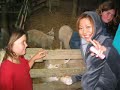 Live and Learn New Zealand Farmstay