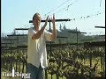 The Winemakers, V1-E2: In The Vineyard -- Vine Layout