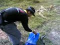 Haruan samseng Haruan samseng