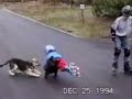 fun-animal-clip