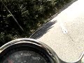 cb 400 sf vtec NW Izu