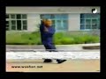 Wu Taijiquan - Wang Peisheng Wu Taijiquan - Wang Peisheng