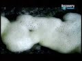 impacto de asteroide 2019  6 