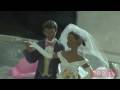 videos de Quickie Wedding or Dream Ceremony?
