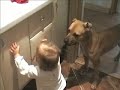 Dog and Baby-girl Dog and Baby-girl