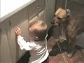 Dog and baby girl