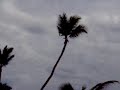 Dominican Republic