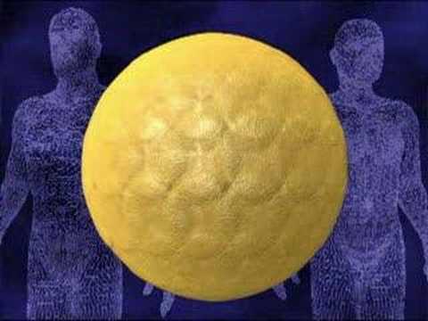 0 Stem Cell Research   Stem Cell Debate
