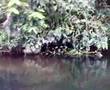 Boating in Fewa