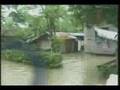 Baha in Camarines Sur