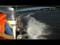 On Board Harbour Thrills