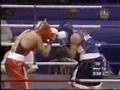 Miguel Cotto vs Mahamadkadir Abdullayev - Round 3