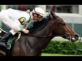 Dedication to Rachel Alexandra that amazing filly