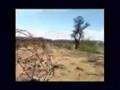 Global Rescue's Climate Change Village & Industrial Hemp