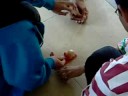 monash egg car race 2008 for physics   hariz dinee nik acap naza tim dewoo  